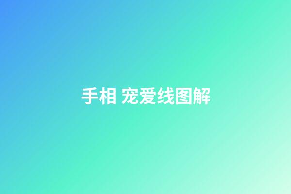 手相 宠爱线图解